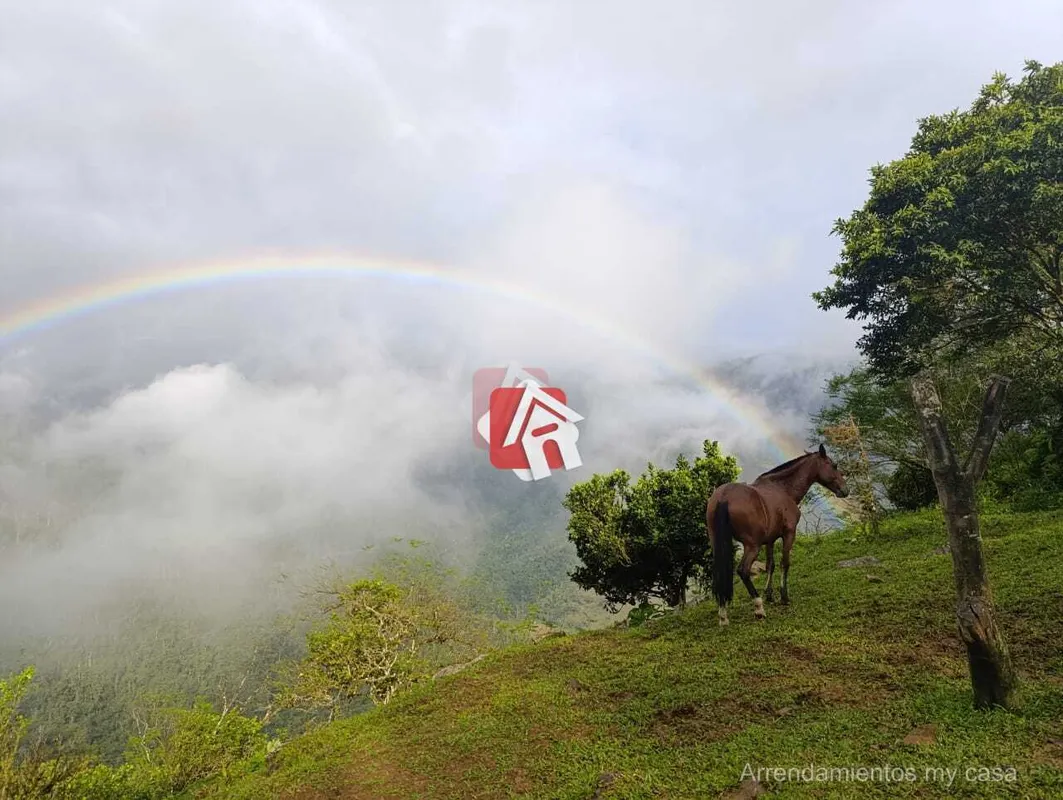 Finca en Dagua (La Victoria)